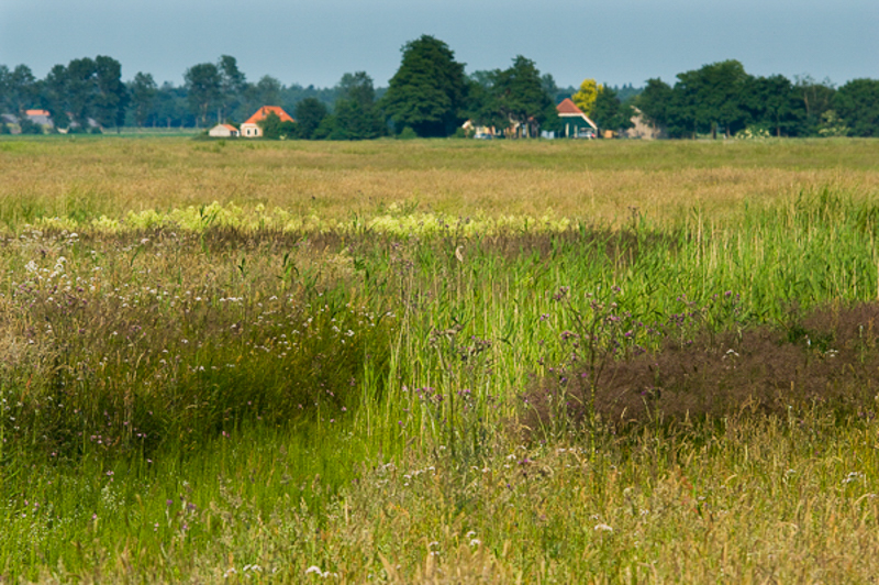 Haulerpolder Haule